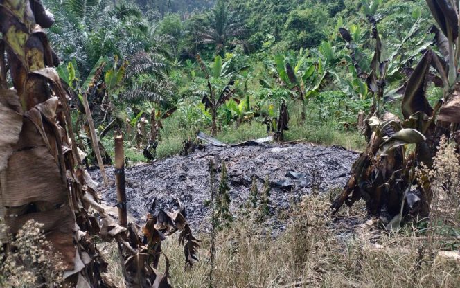 
					Dugaan pengrusakan tanaman serta menguasai lahan milik ahli waris seluas 45.000 M² atau 4,5 hektar di kawasan Dusun Namo Mirah, Desa Suka Dame, Kecamatan Kutalimbaru, Kabupaten Deli Serdang, Sumatera Utara (Sumut) dilaporkan ke Polrestabes Medan
