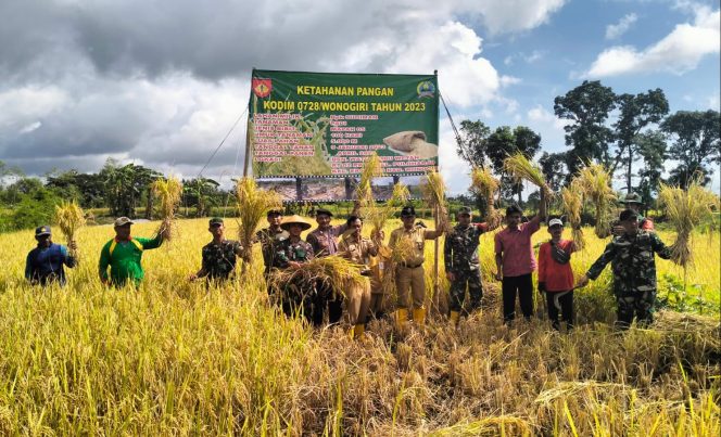 
					Bantu Pemerintah Dalam Ketahanan Pangan, Kodim 0728/Wonogiri Gelar Panen Raya