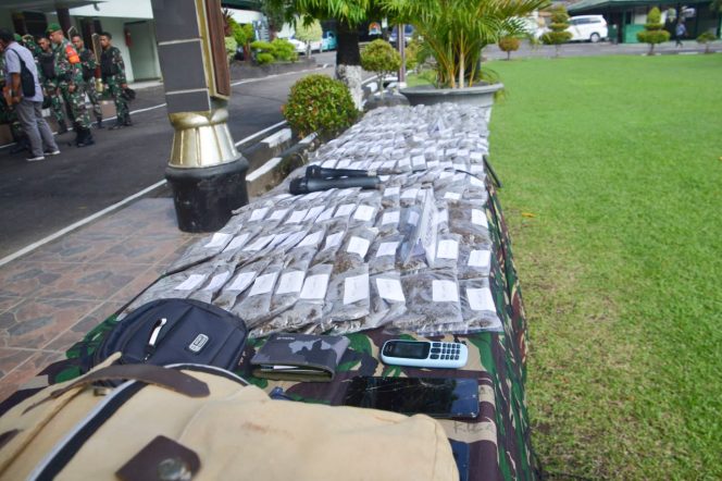 
					Warga PNG Kembali Ditangkap Karena Mengedarkan Ganja Di Indonesia