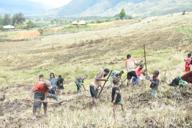 
					Sukseskan Ketahanan Pangan, Satgas YR 321/GT Buka Lahan Perkebunan Bersama Masyarakat Jayawijaya