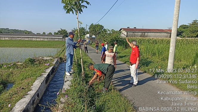 
					Peduli Kelestarian Alam, Babinsa Koramil Wlingi Bersama Dinas Terkait Lakukan Penghijauan