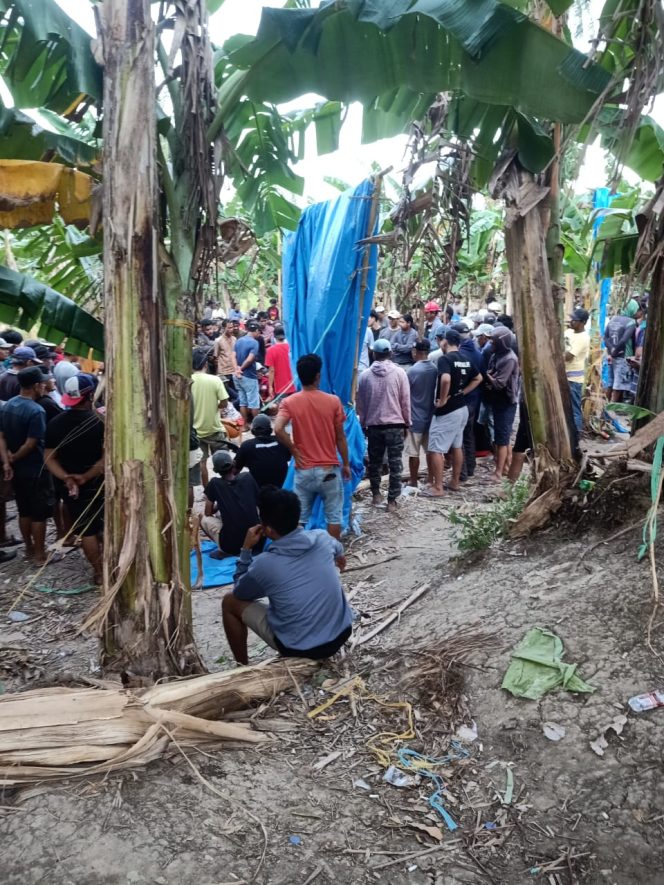 
					Maraknya Sabung Ayam di Leppangeng, Oknum APH Dinilai Tutup Mata dan Tak Bernyali