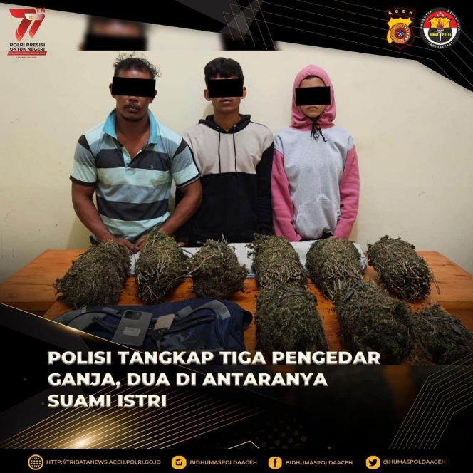 
					Tiga Pengedar Ganja Dibekuk Tim Opsnal Sat Resnarkoba Polres Lhokseumawe