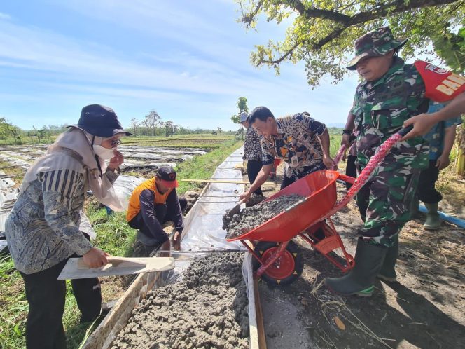 
					Babinsa Desa Sendangagung, Koramil 08/ Giriwoyo Sertu Sriyanto membantu pengerjaan jalan usaha tani yang berada di Dusun Teleng, Desa Sendangagung