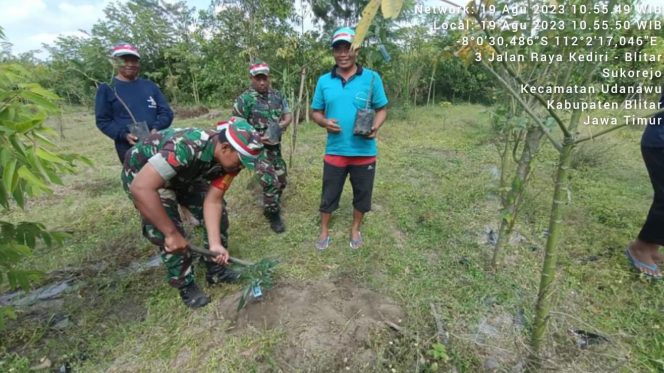 
					Babinsa Koramil 0808/08 Udanawu Kodim 0808/Blitar Koptu Adi S bersama warga masyarakat melaksanakan kegiatan penghijauan kembali berupa penanaman pohon Alpukat di Desa Sukorejo
