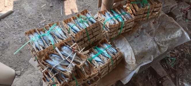 
					Pelaku UMKM yang ada di kelurahan Punggursugih Ngawen Blora, asap pindang milik Imron