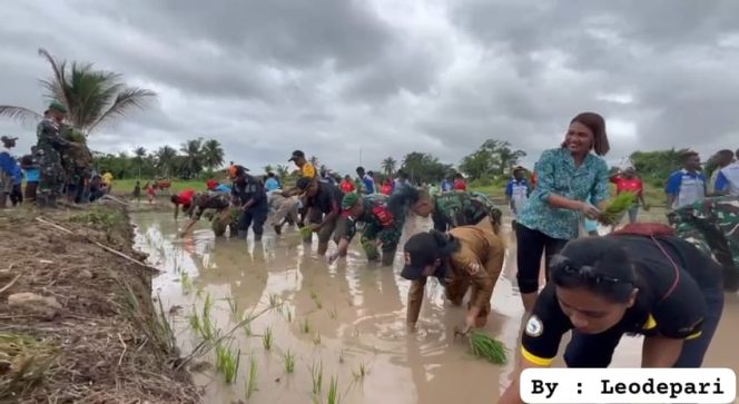 
					Kegiatan penanaman padi perdana untuk mendukung ketahanan pangan di Kabupaten Mappi