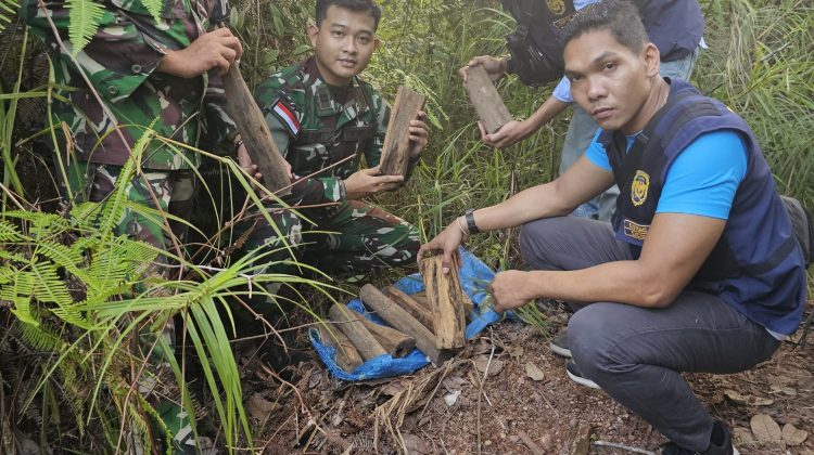 Satgas Pamtas RI - Malaysia Yonarmed 10/ Bradjamusti mengamankan 15 Kg kayu Gaharu tanpa dilengkapi dokumen