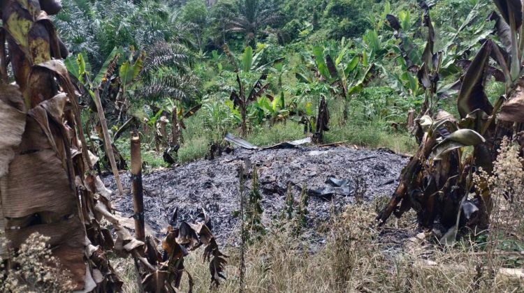 Dugaan pengrusakan tanaman serta menguasai lahan milik ahli waris seluas 45.000 M² atau 4,5 hektar di kawasan Dusun Namo Mirah, Desa Suka Dame, Kecamatan Kutalimbaru, Kabupaten Deli Serdang, Sumatera Utara (Sumut) dilaporkan ke Polrestabes Medan
