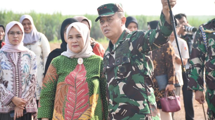 Panglima Koops Udara I, Marsda TNI Mohammad Nurdin melihat kesiapan Lanud Pangeran M. Bun Yamin (BNY) dan AWR Lanud Pangeran M. Bun Yamin jelang dilaksanakannya Manlap Latihan Jalak Sakti dan Trisula Perkasa TA 2024