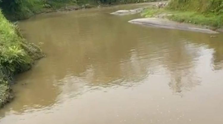 Air sungai yang mengalir ke PDAM Tirtanadi Sunggal diduga tercemar oleh imbas galian c ilegal Citra yang berada di Desa Laubicik, Kecamatan Kutalimbaru, Kabupaten Deli Serdang, Sumatera Utara