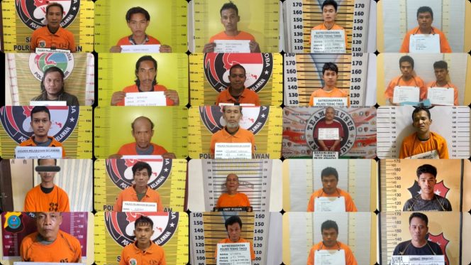 
					Tangkapan Tindak Pidana (TP) Narkotika oleh Ditresnarkoba Polda Sumut dan jajaran, mulai dari 5 hingga 12 Agustus 2024
