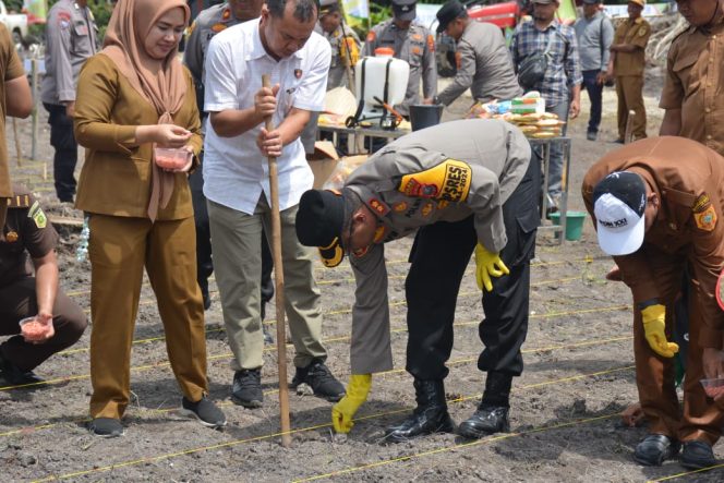 
					Kapolres Labusel, AKBP Arfin Fachreza melakukan penanaman jagung serentak 1 juta hektare secara nasional di Torgamba, Selasa (21/1/2025)
