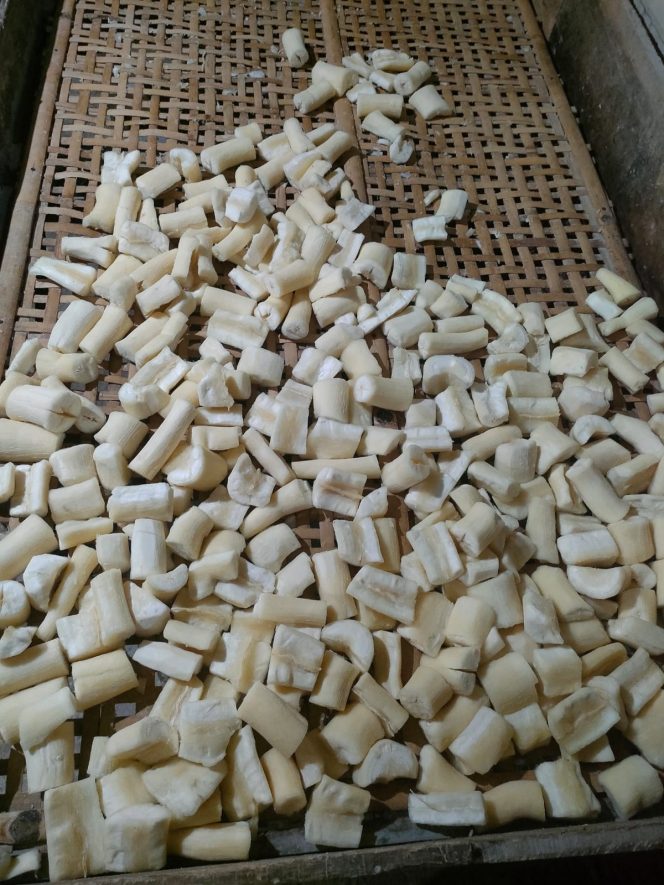 
					MERAUP PULUHAN JUTA DENGAN USAHA TAPE GEMBONG