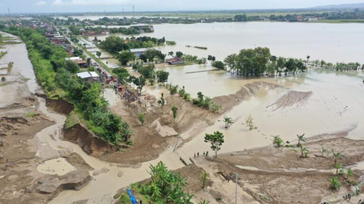 Data Dinas Pertanian dan Peternakan (Distanak) Jawa Tengah, lahan pertanian seluas 1.842 hektare di Grobogan terendam banjir akibat cuaca ekstrem pada Senin (16/2/2026). (Foto:Dok.Jatengprov)
