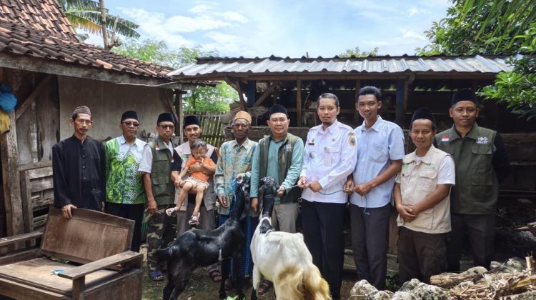 Dukung Warga Tidak Mampu, LAZISNU Pati Gulirkan Bantuan Kambing di Kedungwinong