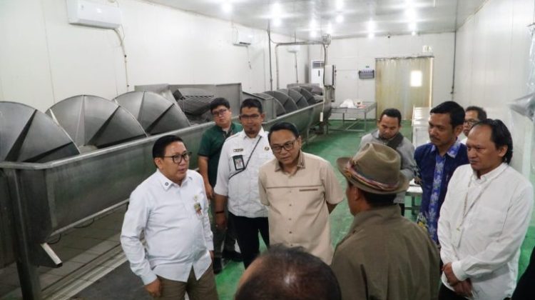 Pemerintah akan memastikan distribusi dan harga DOC lebih stabil sehingga usaha peternak tetap berjalan. (Foto:Dok.Patikab)
