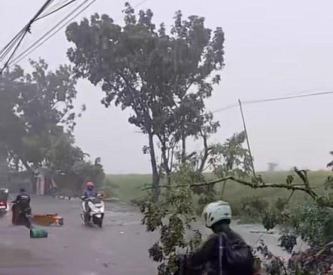 
					Angin kencang juga menumbangkan pepohonan di jalanan. (Foto:Tangkap Layar)
