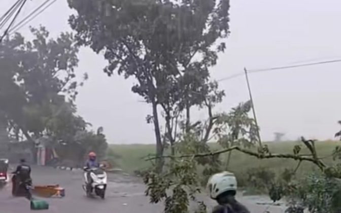 Angin kencang juga menumbangkan pepohonan di jalanan. (Foto:Tangkap Layar)
