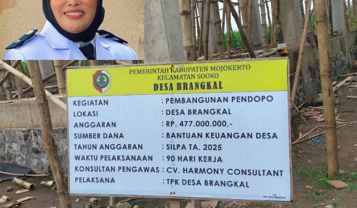 Terkait dugaan penyimpangan pelaksanaan proyek Pendopo desa, Kades Brangkal, Nur Ely Suryani sebut belum memiliki kesempatan untuk melakukan koordinasi langsung dengan Kasipem Robby karena selama ini aktif melakukan kegiatan di luar kantor. (Foto:ist)

