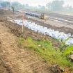 Pemerintah Provinsi Jawa Tengah meminta kepada Balai Besar Wilayah Sungai (BBWS) Pemali Juana untuk mempercepat perbaikan tanggul Sungai Tuntang, di perbatasan antara Kabupaten Demak dengan Desa Tinanding, Kecamatan Godong, Kabupaten Grobogan, Jawa Tengah, yang mengalami keretakan. (Foto:Dok.Jatengprov)
