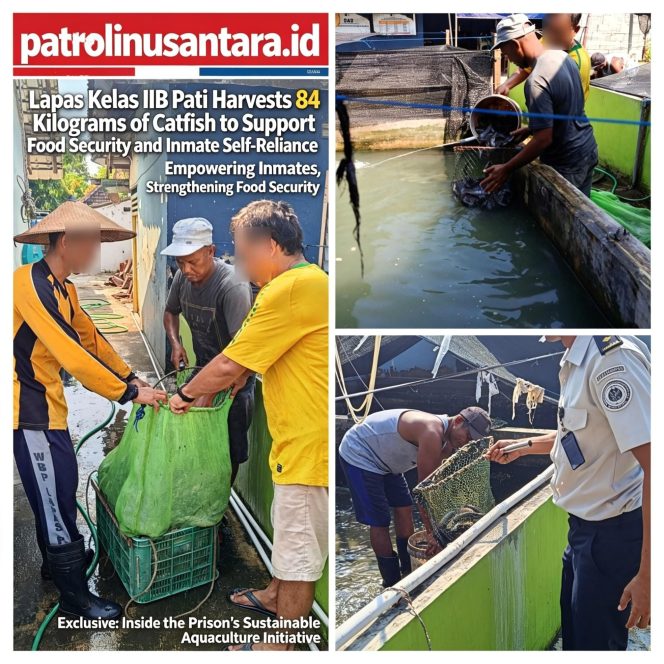 
					Lapas Kelas IIB Pati Panen 84 Kilogram Ikan Lele untuk Dukung Ketahanan Pangan dan Kemandirian Warga Binaan