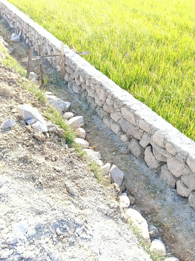 
					Proyek P3TGAI Desa Sugihan Diduga Bermasalah, Tanpa Papan Informasi Warga Curiga Ada Rekayasa